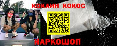 a pvp Гатчина