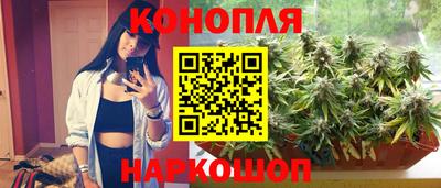 a pvp Гатчина