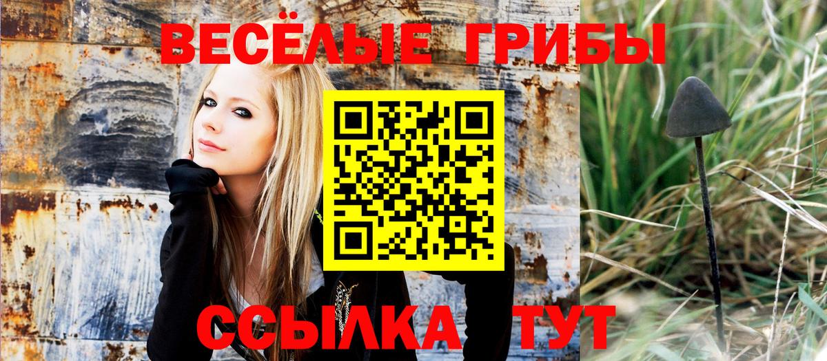 Сорочинск  Галлюциногенные грибы мухоморы  Вход с VPN  Галлюциногенные грибы GOLDEN TEACHER 